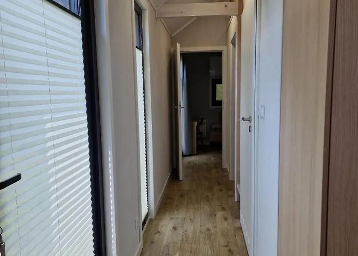 W Cieniu Debow * Gorki (Sochaczew)